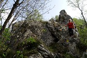 Monte Zucco (Direttissima / Sentiero Panoramico) da San Pellegrino Terme il 22 aprile 2016  - FOTOGALLERY